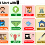 words that start with U
