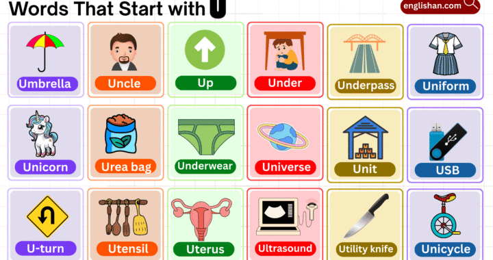 words that start with U