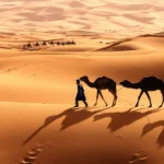 Desert